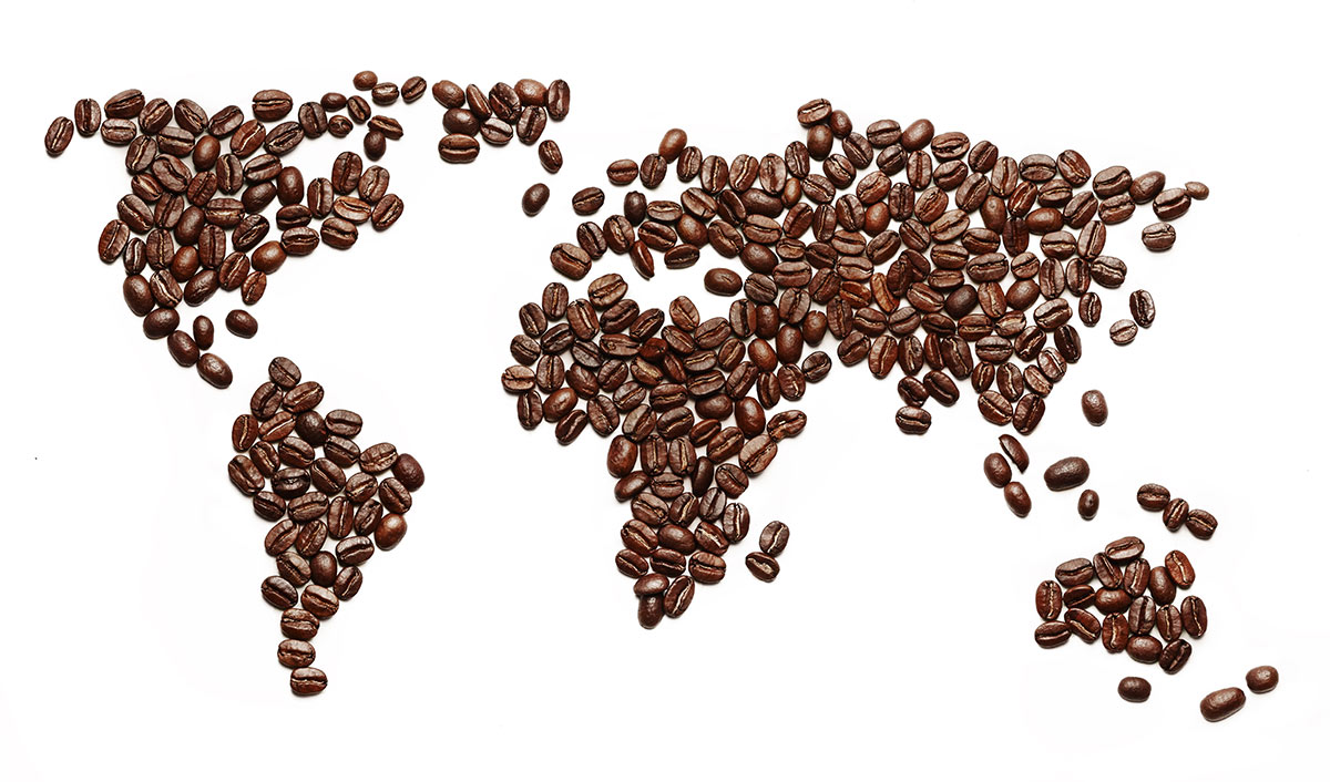 Les différentes variétés de café